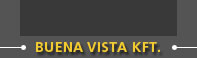 Buena Vista Kft.